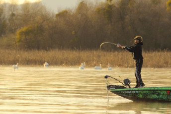 77E8C162-7383-4876-80C7-059C273B9342