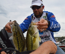 79C06BE0-9E44-4A0E-9587-3FFE1FF8A403