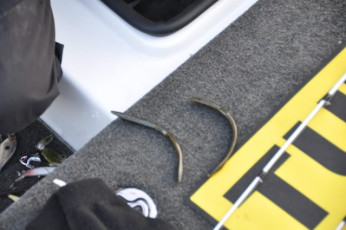 7D42B6A8-0701-4686-B650-768F337C3C68