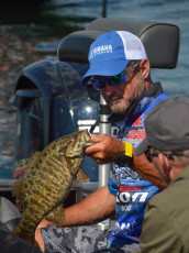 7E89A796-62B5-46E8-8F33-886F7F43FE7C