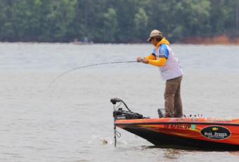 81B2E0A3-7292-4DCF-A923-9BE6DD44C3C0