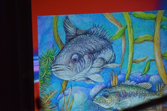 8270C5B5-463B-40E4-8E9B-AFF79574C9E6