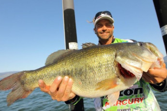 82D99FA6-E305-42AA-8FAF-8F8DE461DD97