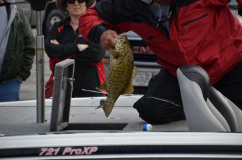 835EF8A7-A3E5-4873-9E42-5FD9ABAAE9AB