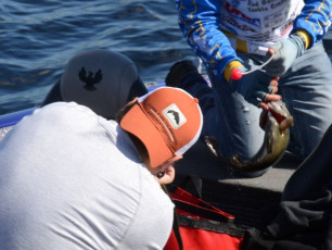 840D1AF7-1D98-431D-ADBD-491F2BABB71D