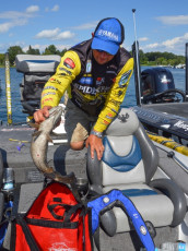 8958E274-4351-4645-B547-1796E150D243