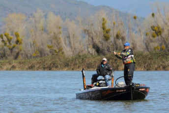 8B153F95-3458-4296-A0F5-E2091FEF1C1C