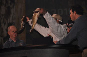 8BE78479-AA94-4844-8A30-1C6E0728216F