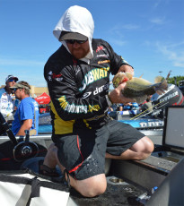 8C994D48-C345-463E-9DEE-8BCC132352C6