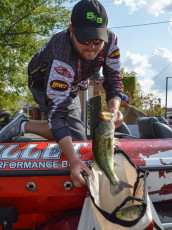 8E0B86E9-0FC7-409F-A5D1-16715EB06BBC