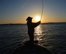 8E3241AA-8CED-4900-85E9-7154F68CF38A