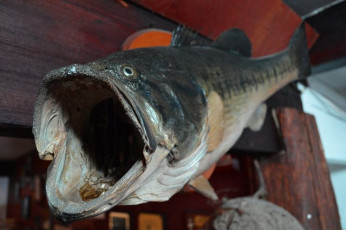 93A45EE2-7A70-419D-9ECD-4461EF3162D5