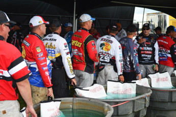 94C3A3D0-6977-4AF5-89FE-EE7C8E088EC0