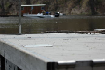 95DBE1F3-97C8-4D24-B67A-0786D357C4B9