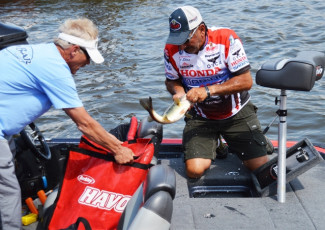 961B2EE3-1C8C-401D-A549-CD462755EF38