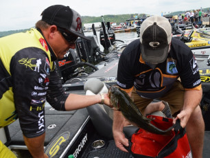 96941BE7-8B8C-4BE3-83BB-93D2C9FAF265