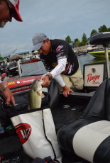 9715A989-9E32-43D2-8EA0-4F833E952614