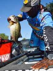 9AC2878E-14BC-4B1D-89BE-3834A9721441