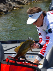 9CAA6163-309C-461A-B58C-B608137AD019