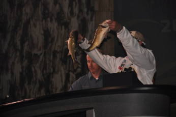 9CC3FF4E-613B-45B7-A5CA-DFD92BD5A4FA