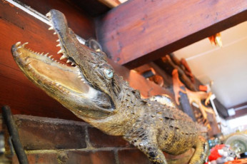 9F606F00-F908-4F2A-9E68-6D75C2D5596E