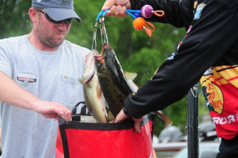 ABFB7C94-2D29-4F8A-87C3-4D5119AA2A4B