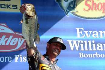 AC3B43CF-373F-43D5-A1A3-DA7ABBF1D60E