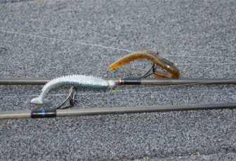 B0630DE5-B75F-4B6E-9A17-789465AA6EF3