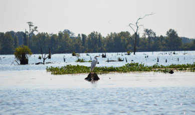 B5358398-BC02-4405-88CC-34EB40D04A3A