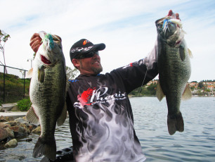 BA74A938-E651-4731-8419-636A223F8EEC