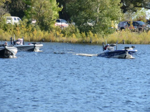 BC03EE07-499D-45A3-8D89-F1FE1FCAE00B