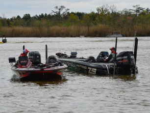 BD63D488-3FDA-4B3A-B4D5-C005BB301CAE