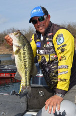 BDE937A7-047F-4A82-A57C-46EA7DE1CA0D