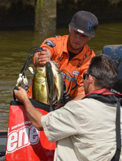 C25C47D1-C93B-46C6-B510-C9603B791E4B