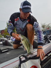 C32BA5A5-2D44-438C-9DDA-736FEB219B22