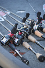 C589F479-5719-40A8-A05A-9EEC08D9A777