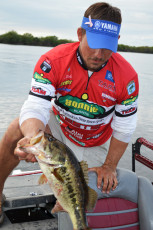 CFEE6F29-D1A2-4BF9-B4DE-FA5D470A0081