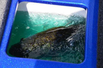 D106157A-5302-4BB5-B1C2-3C7053E6F082