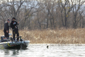 D1B39BB7-4671-4895-951C-977345A68542