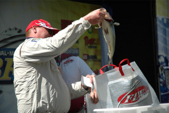 D39A3241-19D1-4553-8A2C-F2662FA0D0A0