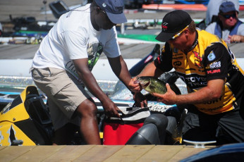 D41A021D-5463-4943-8618-28436C952969