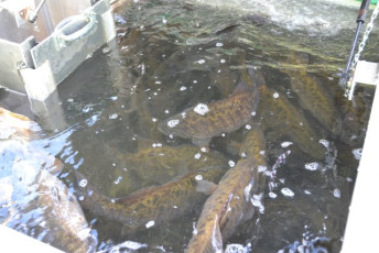 D53FC8FA-5811-4E5E-8EDA-3B05BD6E58E5