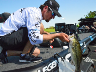 D62AA193-C40C-412B-81BF-B6719C0F5D92