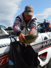 D7949E13-E432-4560-8264-1F8C0C9B7A48