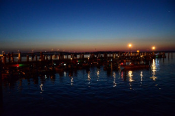 D884AAB8-4B55-4EF4-9E17-E76A81DC356C