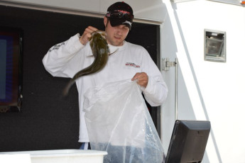 DB3C704C-0DBB-430B-91FF-F1262076553F