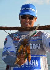 DB6D93CB-72C8-40F6-8673-6456AEE5DFB5