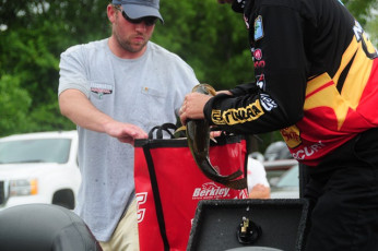 DBC54235-8C51-4A0C-B103-7D57FA00B2DE