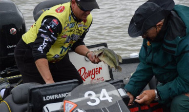 E18B8E94-3231-4430-BF8B-328FA80D8285