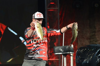 E44C70B3-64F5-4ABD-9F36-CBFF10AA4E4E